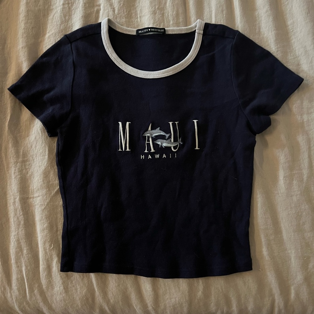 Brandy Melville Maui Crop Top